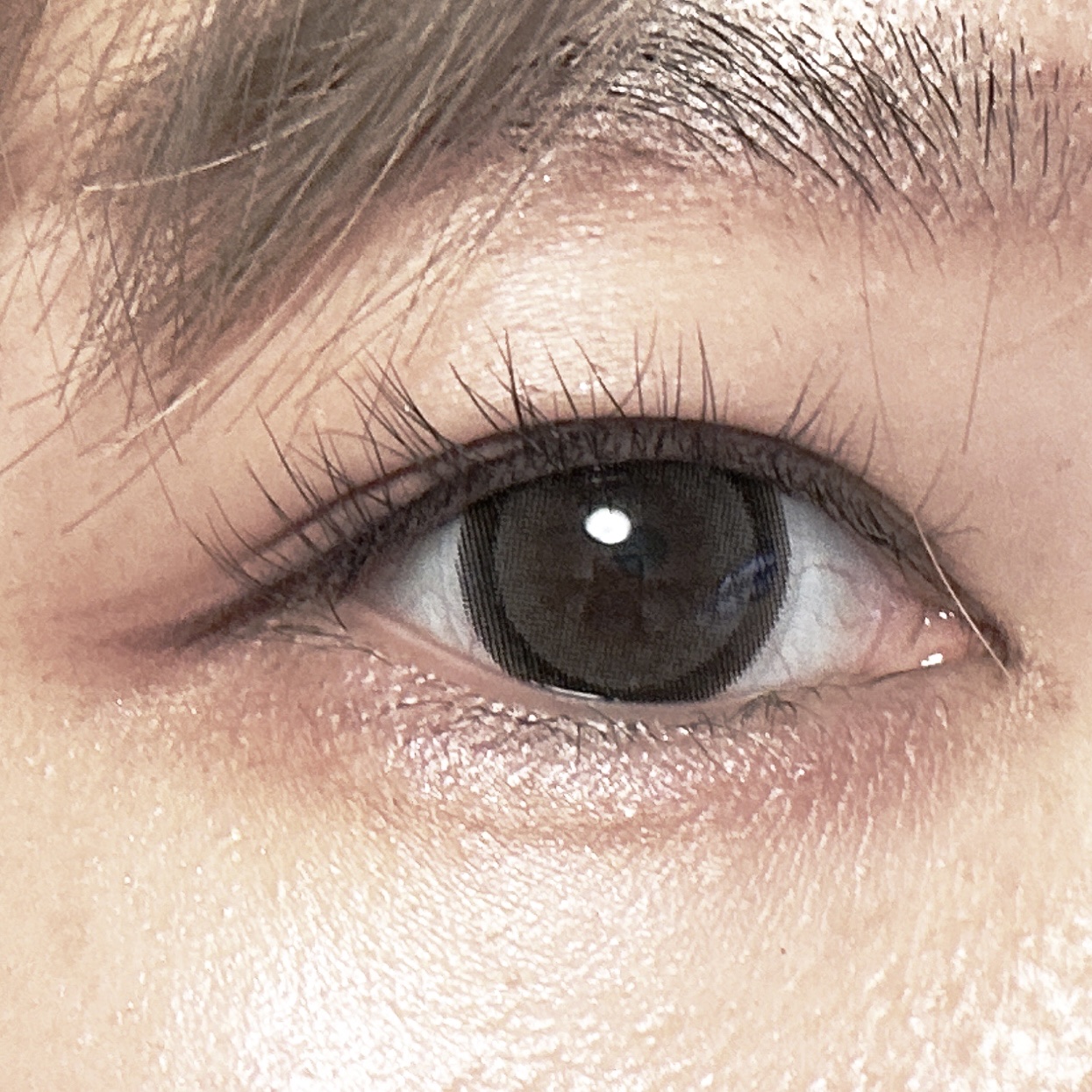 Honey kiss 1day ちゅるんグレー/HoneyKiss/ワンデー（１DAY）カラコンを使ったクチコミ（1枚目）