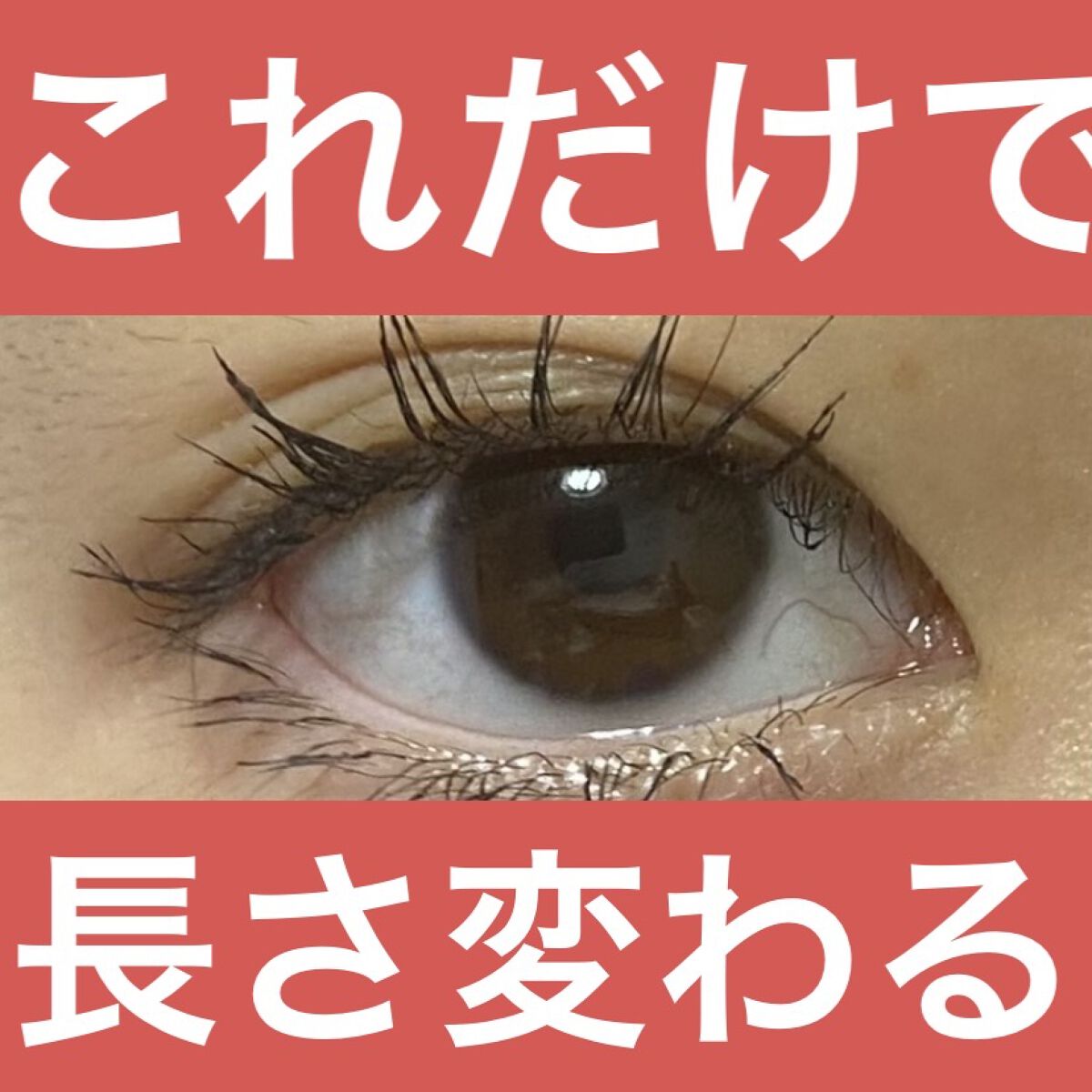 ラッシュマキシマイザーHP/KATE/マスカラ下地を使ったクチコミ（1枚目）