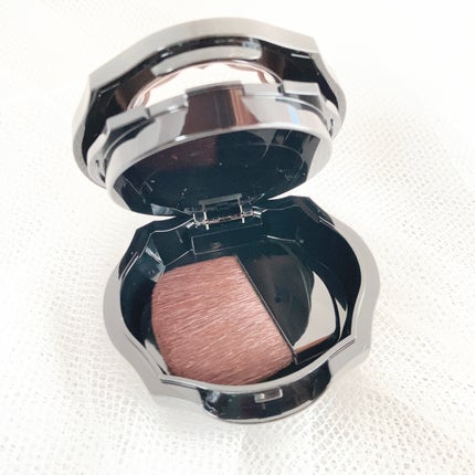 フォギーオンチークス N/Visée/パウダーチークを使ったクチコミ(5枚目)