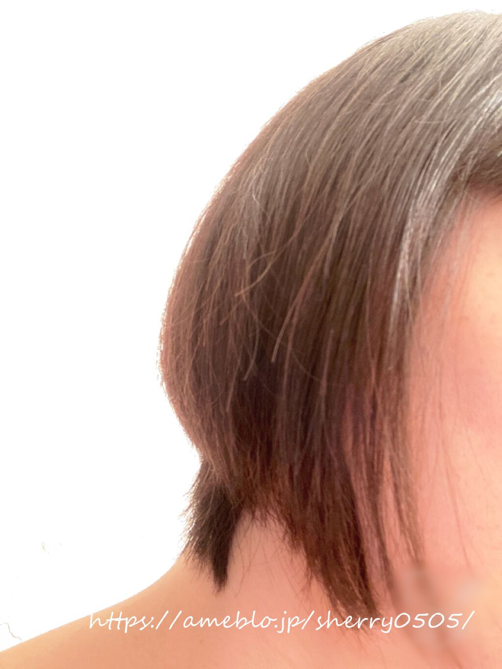 ハイドロリニュー ミスト スムースリペア/スティーブンノル ニューヨーク/プレスタイリング・寝ぐせ直しを使ったクチコミ(3枚目)