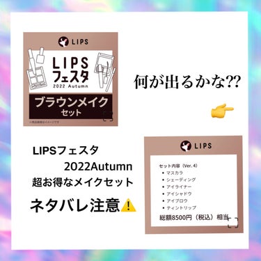 ブラウンメイクセット  LIPSフェスタ Autumn 2022/LIPS/メイクアップキットを使ったクチコミ（1枚目）