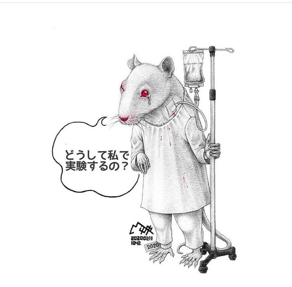 サボン オードパルファン/SHIRO/香水(レディース)を使ったクチコミ(10枚目)