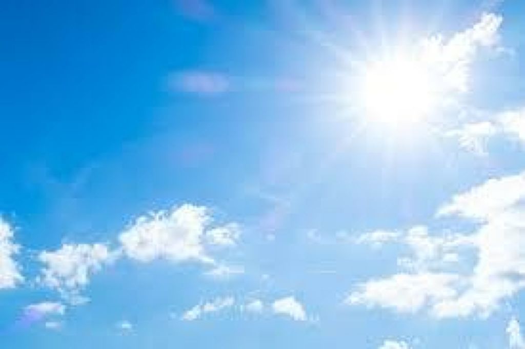 エルファー マスカラよみガエル/DAISO/その他化粧小物を使ったクチコミ(1枚目)