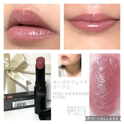 ネンマクフェイク ルージュ/Visée/口紅を使ったクチコミ(2枚目)