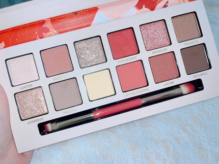 エクスプローラ12色 動物アイシャドウパレット/PERFECT DIARY/アイシャドウパレットを使ったクチコミ(3枚目)