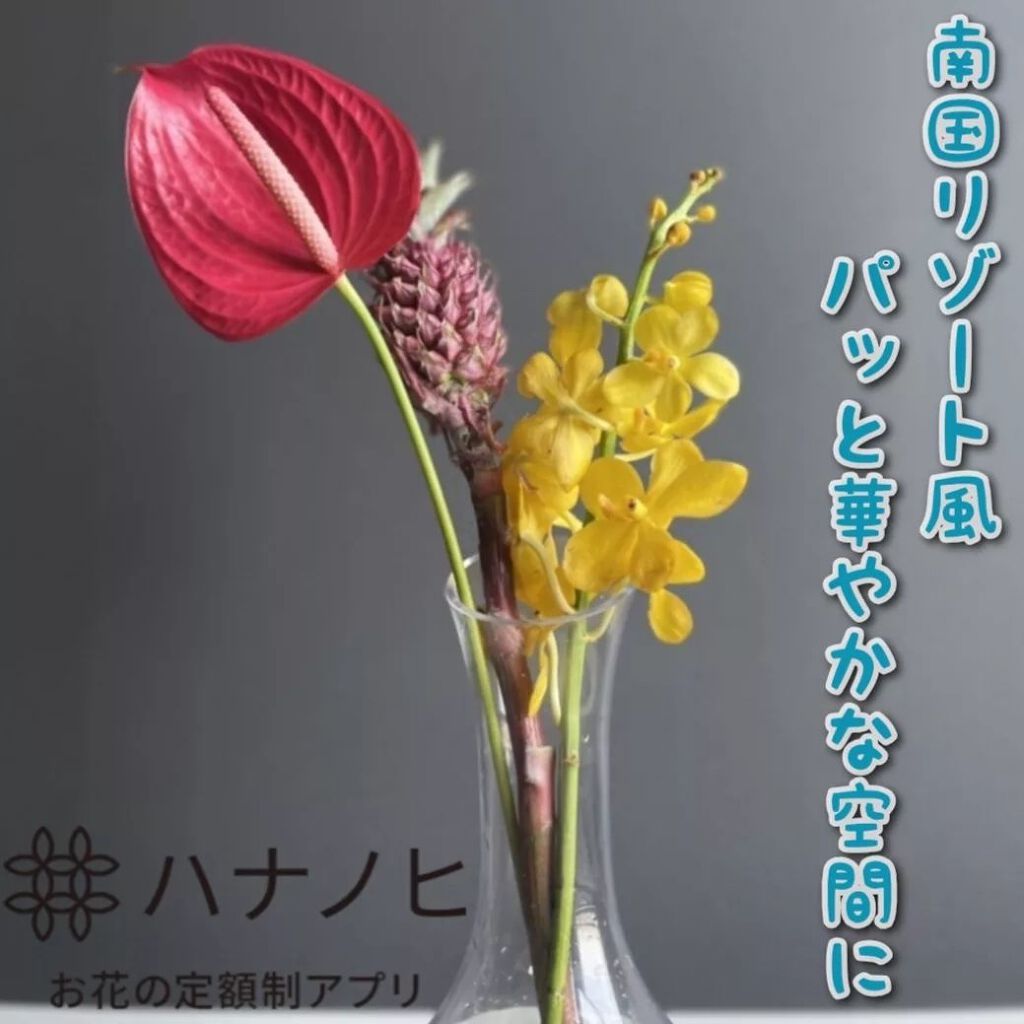 ハナノヒ サブスク/ハナノヒ/その他を使ったクチコミ（1枚目）