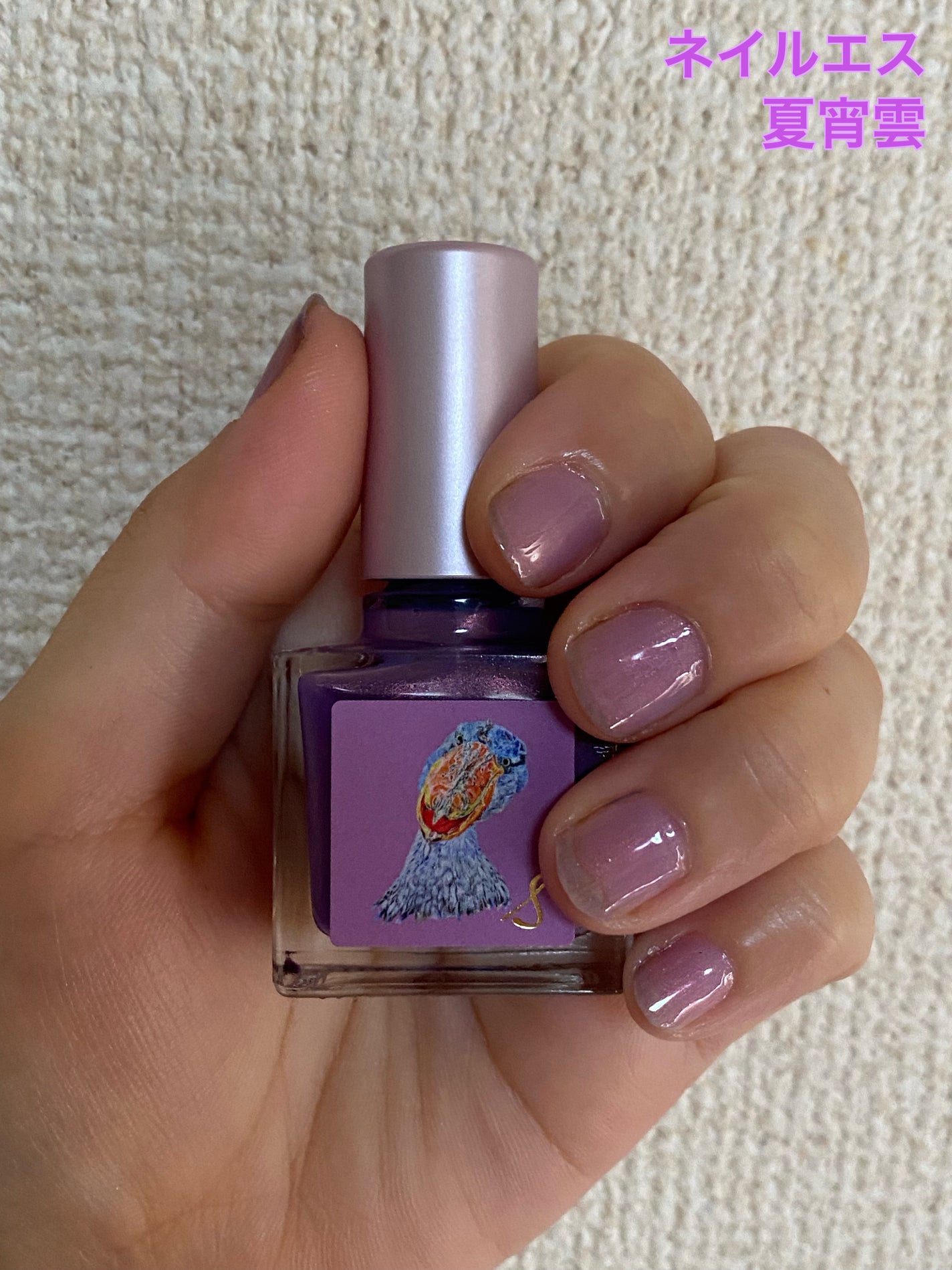 ネイルエス/ nail S(ネイルエス) /マニキュアを使ったクチコミ(1枚目)