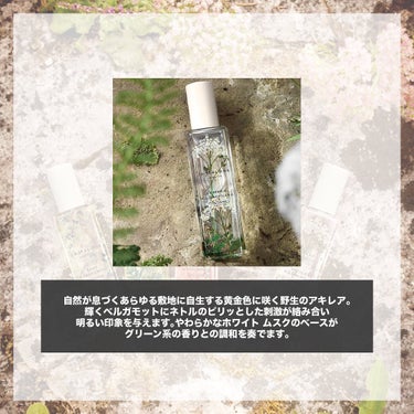 Jo MALONE LONDON ワイルド アキレア コロンのクチコミ「.
『数量限定 緑の香水』

🌳製品情報🌳
JO MALONE LONDON
ワイルド アキレ.....」（2枚目）