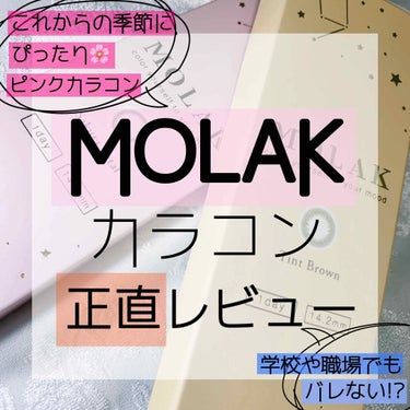 MOLAK 1day/MOLAK/ワンデー（１DAY）カラコンを使ったクチコミ（1枚目）