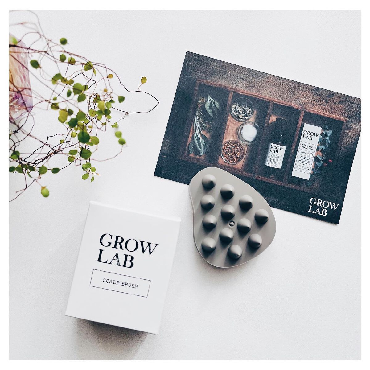 スカルプブラシ/GROW LAB/スカルプブラシを使ったクチコミ（1枚目）