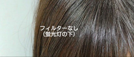 スカルプD ボーテ ナチュラスター スカルプシャンプー/トリートメントパック/アンファー(スカルプD)/シャンプー・コンディショナーを使ったクチコミ(2枚目)