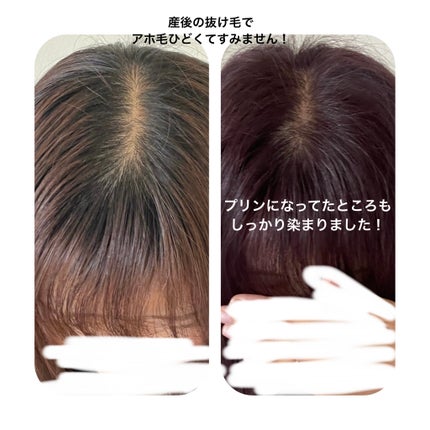 泡カラー/リーゼ/ヘアカラーを使ったクチコミ(3枚目)