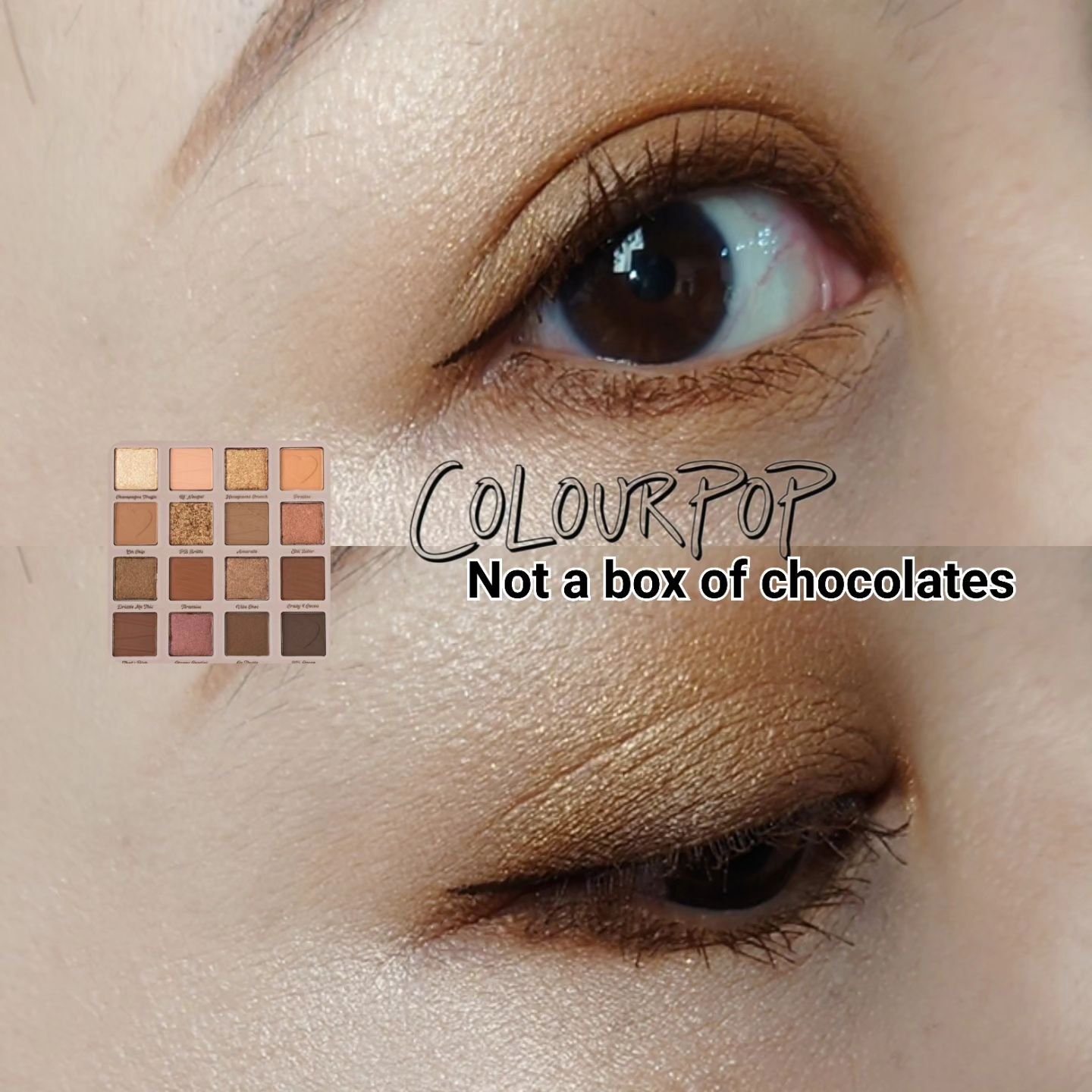Not a box of chocolates/ColourPop/アイシャドウパレットを使ったクチコミ（1枚目）