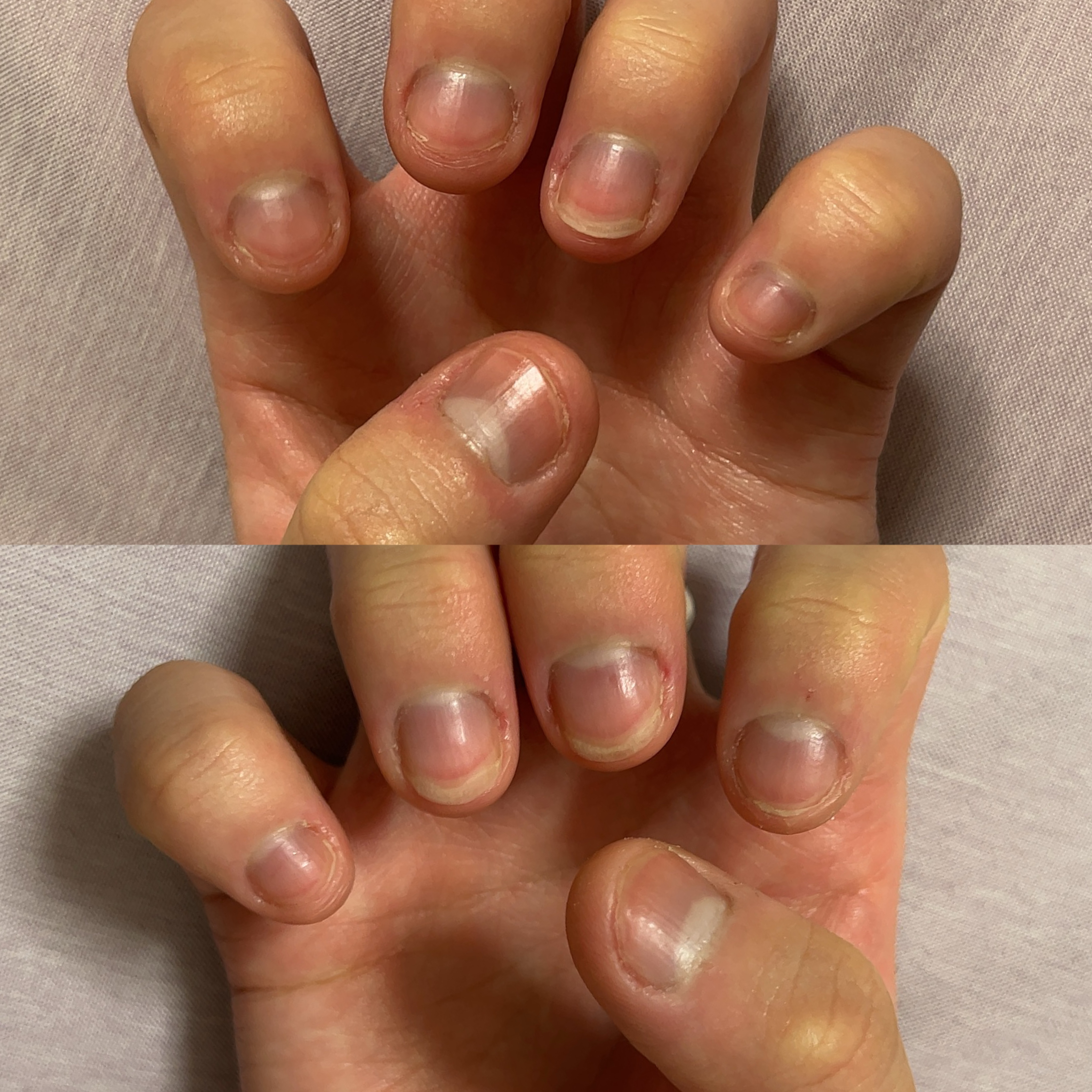 カカオ ハンドクリーム/ロイズ/ハンドクリームを使ったクチコミ（2枚目）