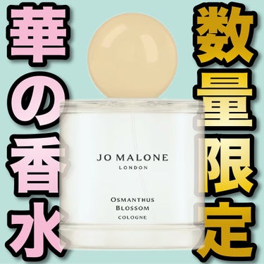 Jo MALONE LONDON オスマンサス ブロッサム コロンのクチコミ「.
『数量限定 華の香水』

🌳製品情報🌳
JO MALONE LONDON
オスマンサス ブ.....」（1枚目）