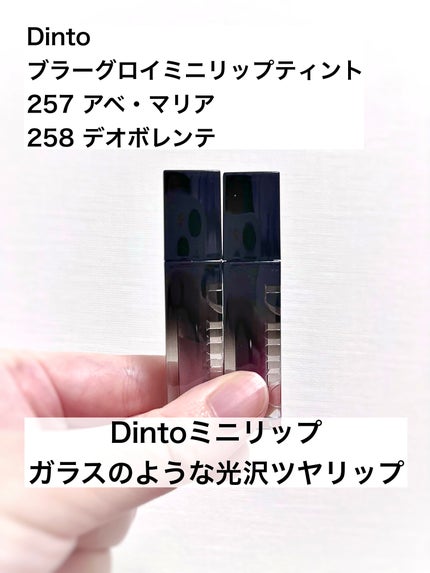 ブラーグロイリップティント 220 デオボレンテ/Dinto/リップティントを使ったクチコミ(1枚目)