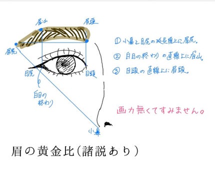 ラスティングデザインアイブロウW/KATE/アイブロウペンシルを使ったクチコミ(4枚目)
