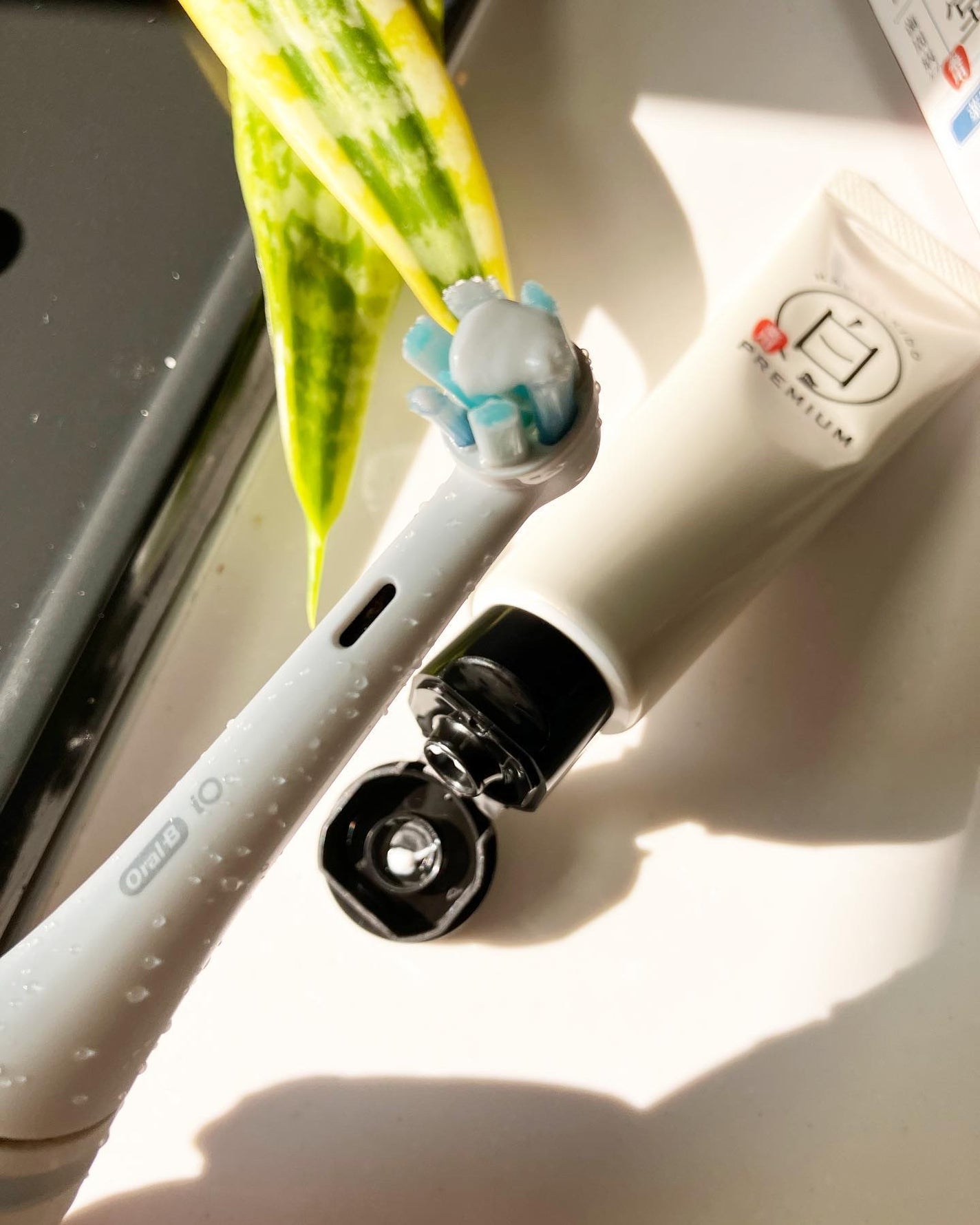 マミマロロン on LIPS 「🌿歯磨き堂 医薬部外品薬用ホワイトニングペーストプレミアム1,..」(3枚目)