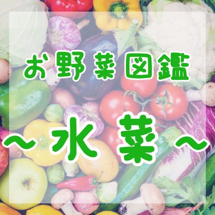 ã䜿ã£ãã¯ãã³ãïŒ1æç®ïŒ