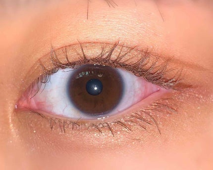 UR GLAM BLOOMING EYE COLOR PALETTE/U R GLAM/アイシャドウパレットを使ったクチコミ(1枚目)