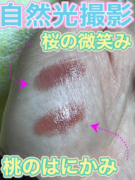 ネンマクフェイク ルージュ/Visée/口紅を使ったクチコミ(3枚目)