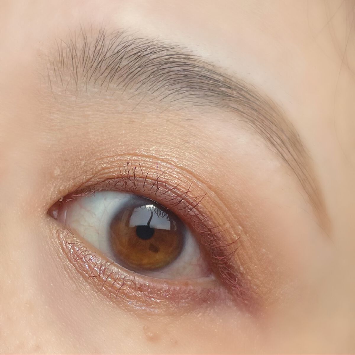 トーンアップアイシャドウ 06 オレンジカシス/CEZANNE/アイシャドウパレットを使ったクチコミ（3枚目）