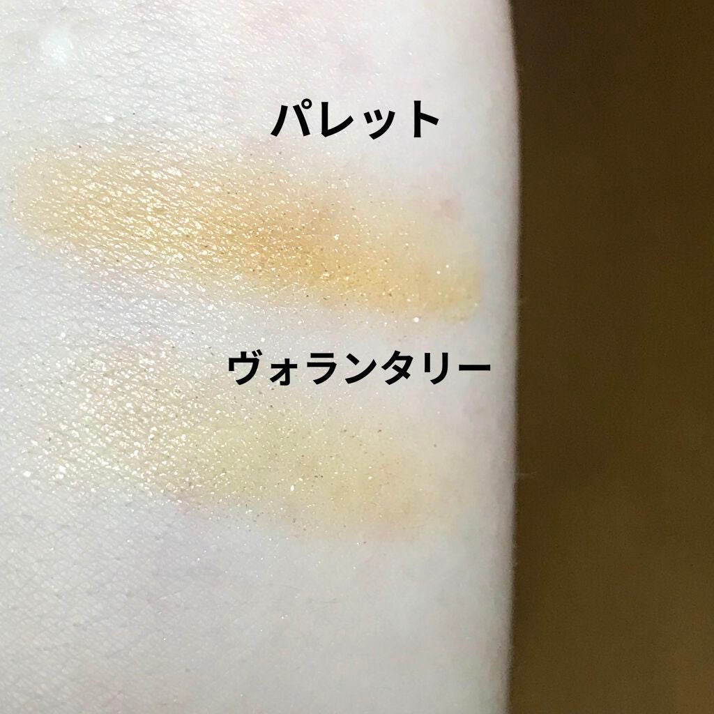 ヴォランタリーベイシス アイパレット/Celvoke/アイシャドウパレットを使ったクチコミ(4枚目)