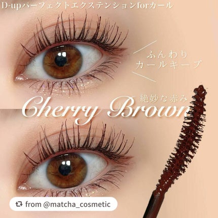 パーフェクトエクステンション マスカラ for カール/D-UP/マスカラを使ったクチコミ(1枚目)