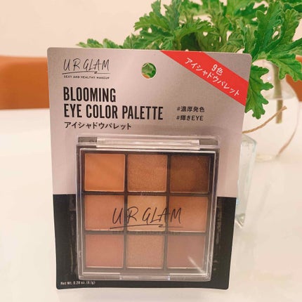 UR GLAM BLOOMING EYE COLOR PALETTE/U R GLAM/アイシャドウパレットを使ったクチコミ(2枚目)
