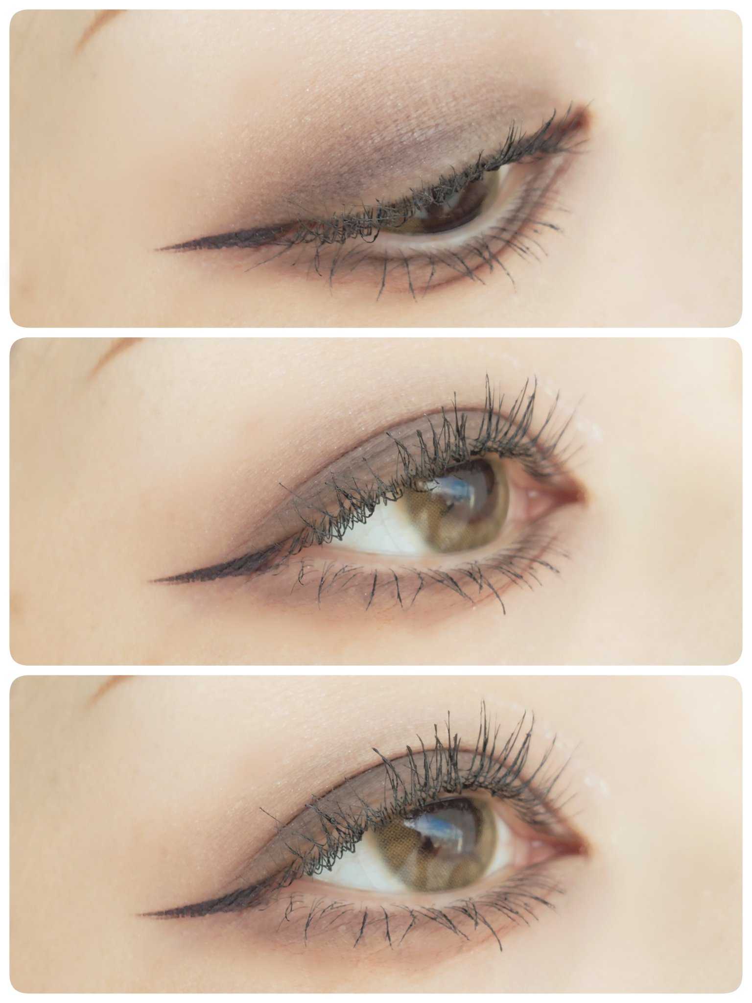 TeAmo 1DAY モスブラウン/TeAmo/ワンデー（１DAY）カラコンを使ったクチコミ（1枚目）