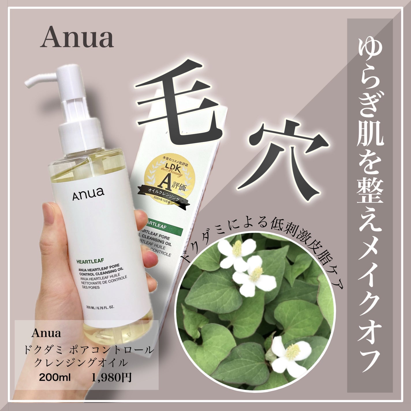 ãã¯ãã ãã¢ã³ã³ãããŒã«ã¯ã¬ã³ãžã³ã°ãªã€ã«/Anua/ãªã€ã«ã¯ã¬ã³ãžã³ã°ã䜿ã£ãã¯ãã³ãïŒ1æç®ïŒ