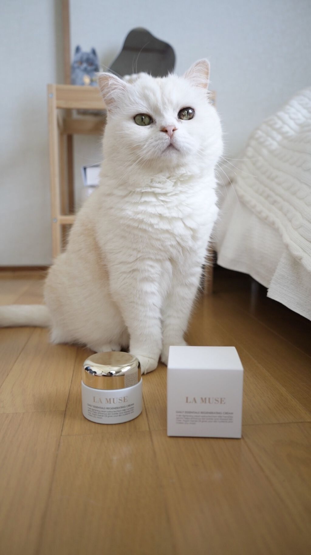 デイリー エッセンシャルズ リジェネレイティング クリーム/ラミューズ/フェイスクリームを使ったクチコミ（1枚目）