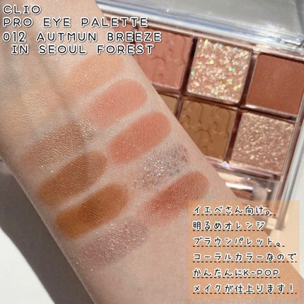 プロ アイ パレット/CLIO/アイシャドウパレットを使ったクチコミ(7枚目)