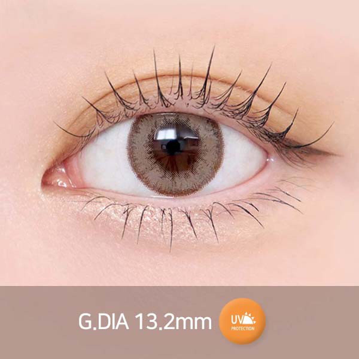 ウィサムライトチョコ