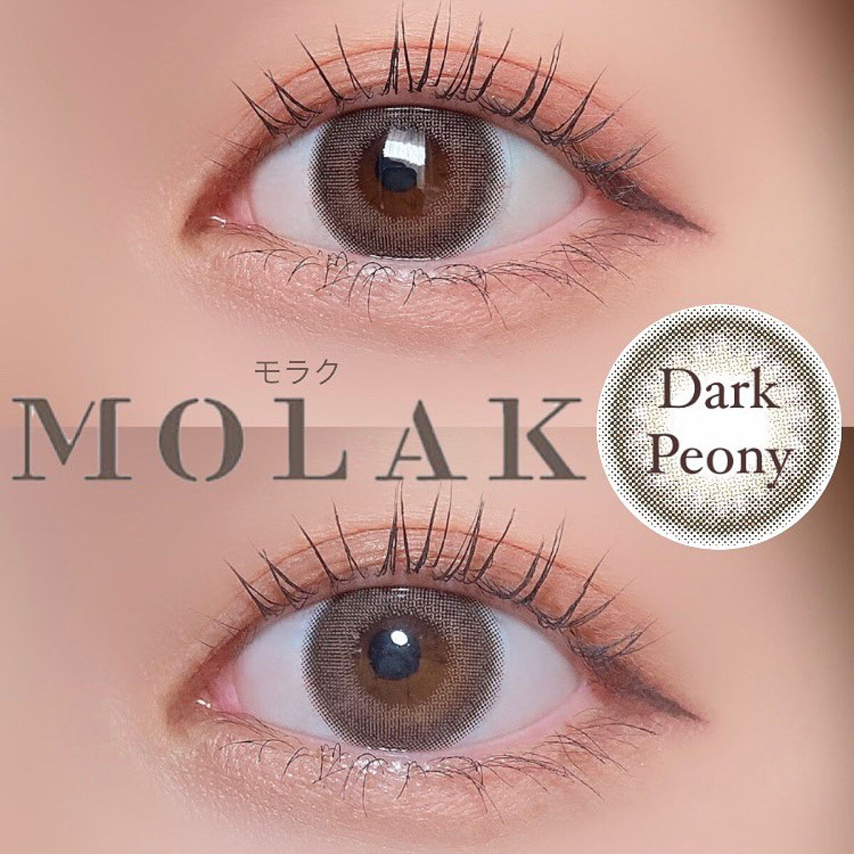 MOLAK 1day/MOLAK/ワンデー（１DAY）カラコンを使ったクチコミ（1枚目）