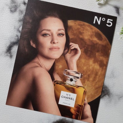 ルージュ アリュール ラック 88 ローズ ミステール/CHANEL/口紅を使ったクチコミ(2枚目)