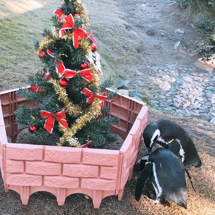 エクストラオーディナリー オイル ナイト ラベンダー ヘアオイル/ロレアル パリ/ヘアオイルを使ったクチコミ(4枚目)