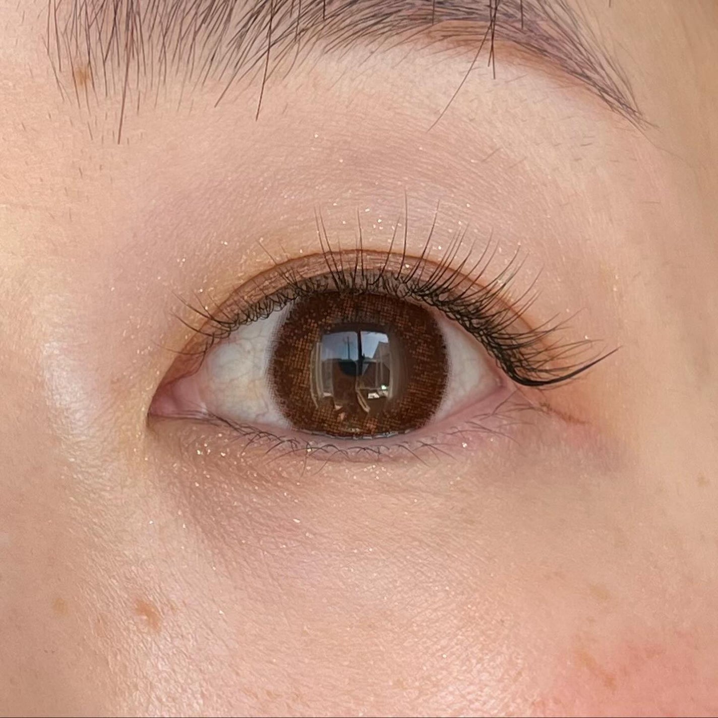 高品位「スクワラン」/HABA/フェイスオイルを使ったクチコミ(6枚目)