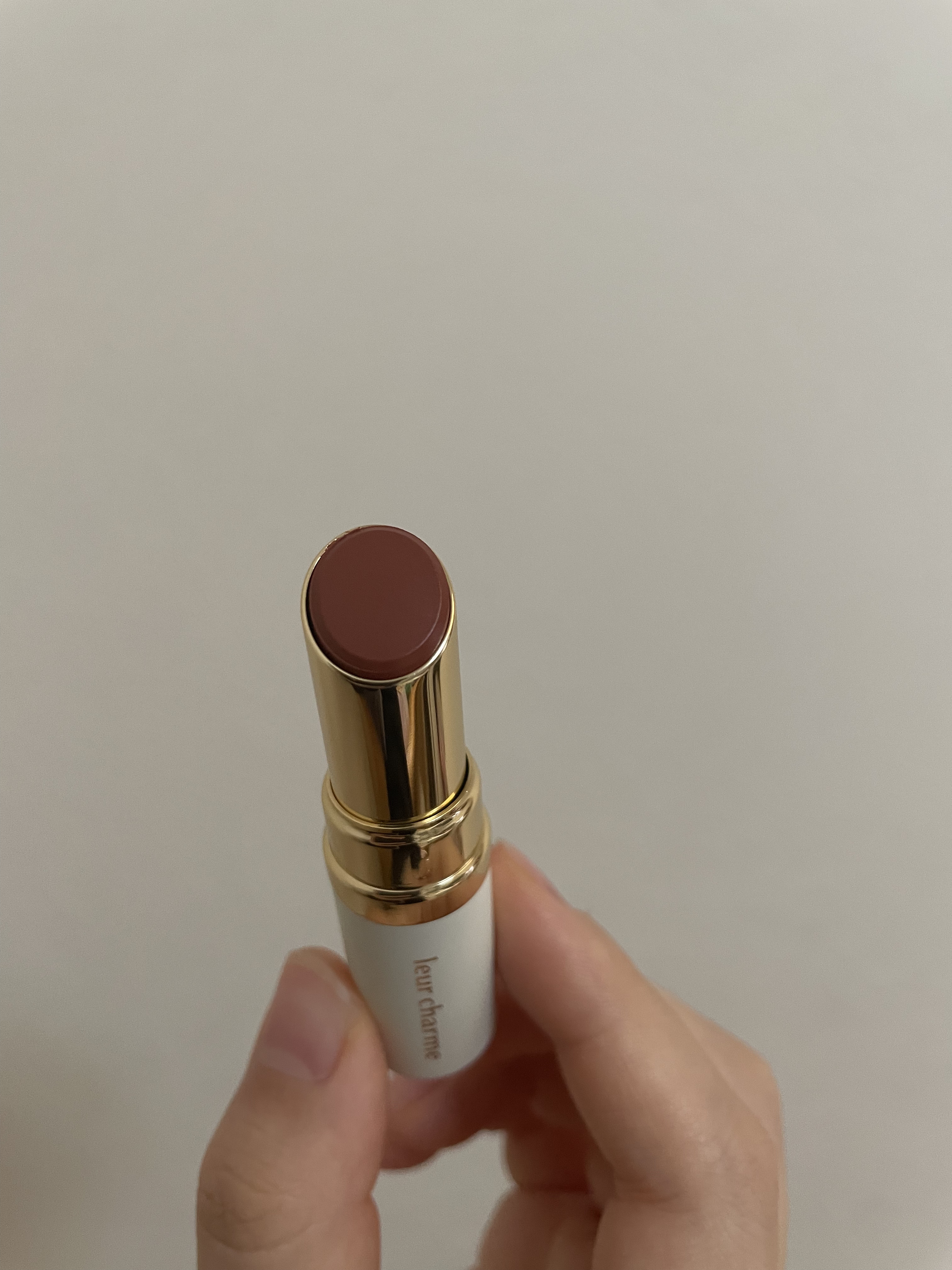 フォーエバー フィット ルージュ 02 terracotta eve(テラコッタイヴ)/leur charme/口紅を使ったクチコミ（3枚目）