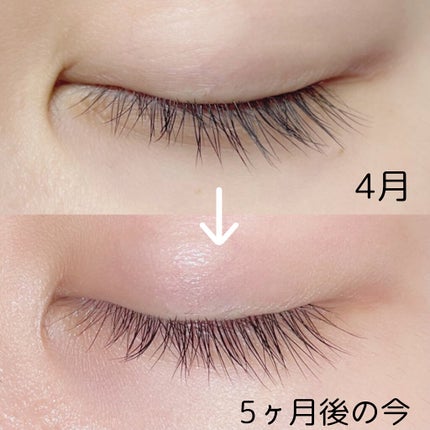 まつげ美容液EX/CEZANNE/まつげ美容液を使ったクチコミ(4枚目)