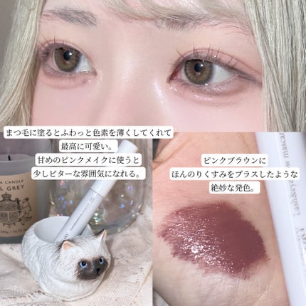 ラッシュ&アイブロウマスカラ/KIREI FACTORY/マスカラを使ったクチコミ(3枚目)