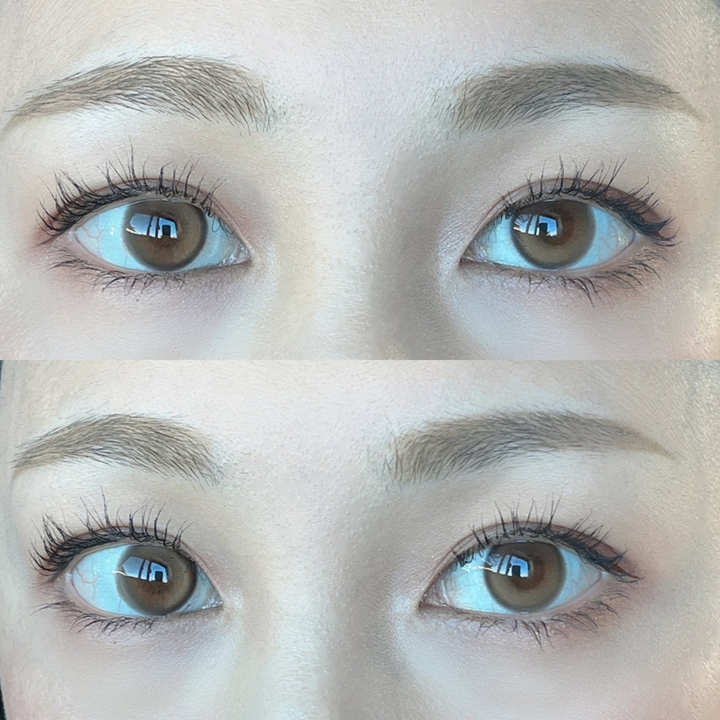 ピュアリティーシャインワンデー(PURITYSHINE 1day)/OLOLA/ワンデー(1DAY)カラコンを使ったクチコミ(2枚目)