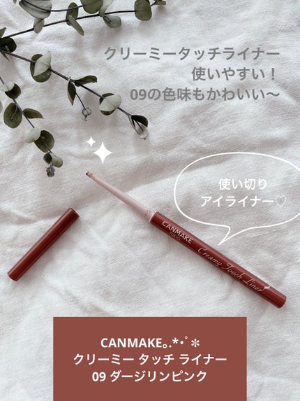 クリーミータッチライナー/キャンメイク/ジェルアイライナーを使ったクチコミ(1枚目)