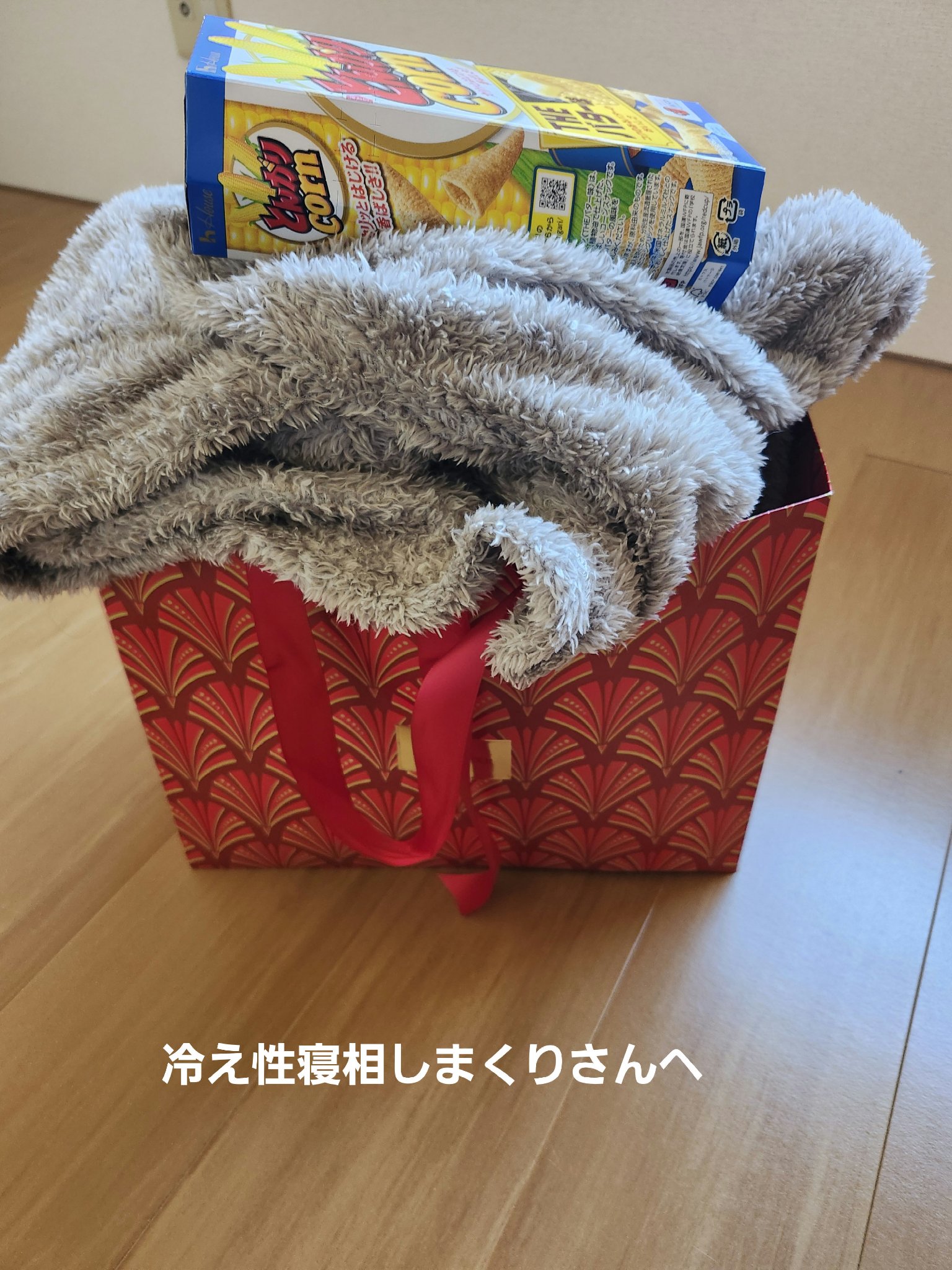 着る毛布/ニトリ/その他を使ったクチコミ（1枚目）