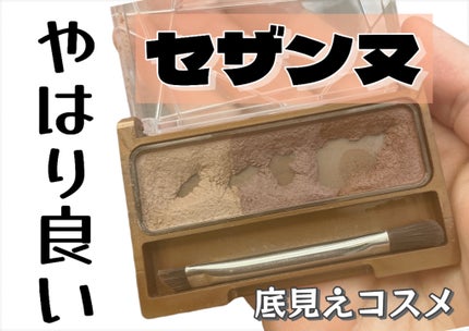 ノーズ&アイブロウパウダー/CEZANNE/パウダーアイブロウを使ったクチコミ(1枚目)