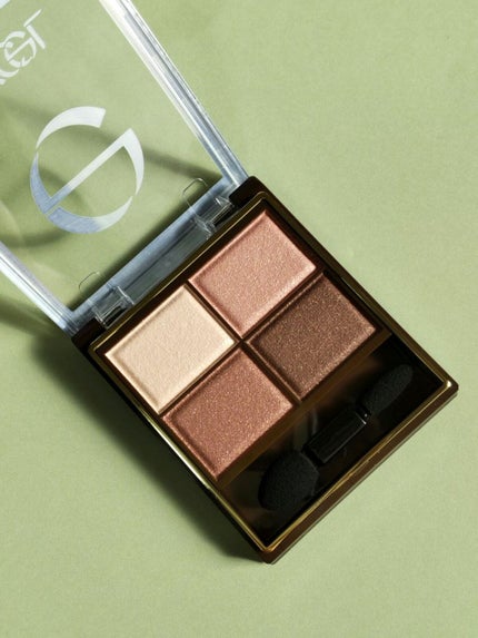 スキニーリッチシャドウ/excel/アイシャドウパレットを使ったクチコミ(1枚目)