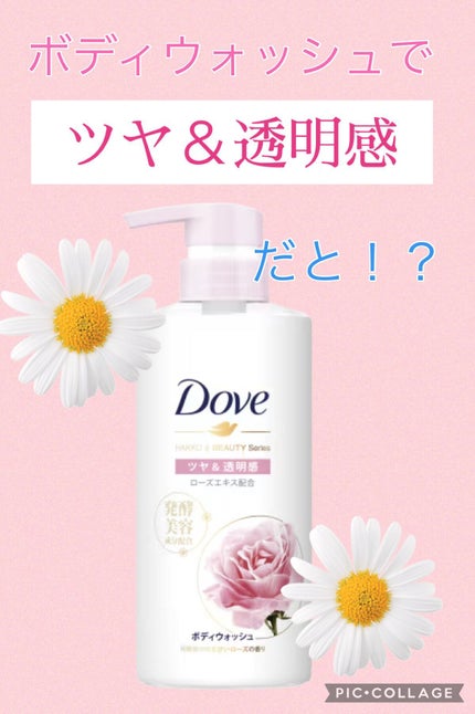 ããã£ãŠã©ãã·ã¥ çºé
µïŒãã¥ãŒãã£ãŒã·ãªãŒãº ãã€ïŒéææ/ããŽ/ããã£ãœãŒãã䜿ã£ãã¯ãã³ãïŒ1æç®ïŒ