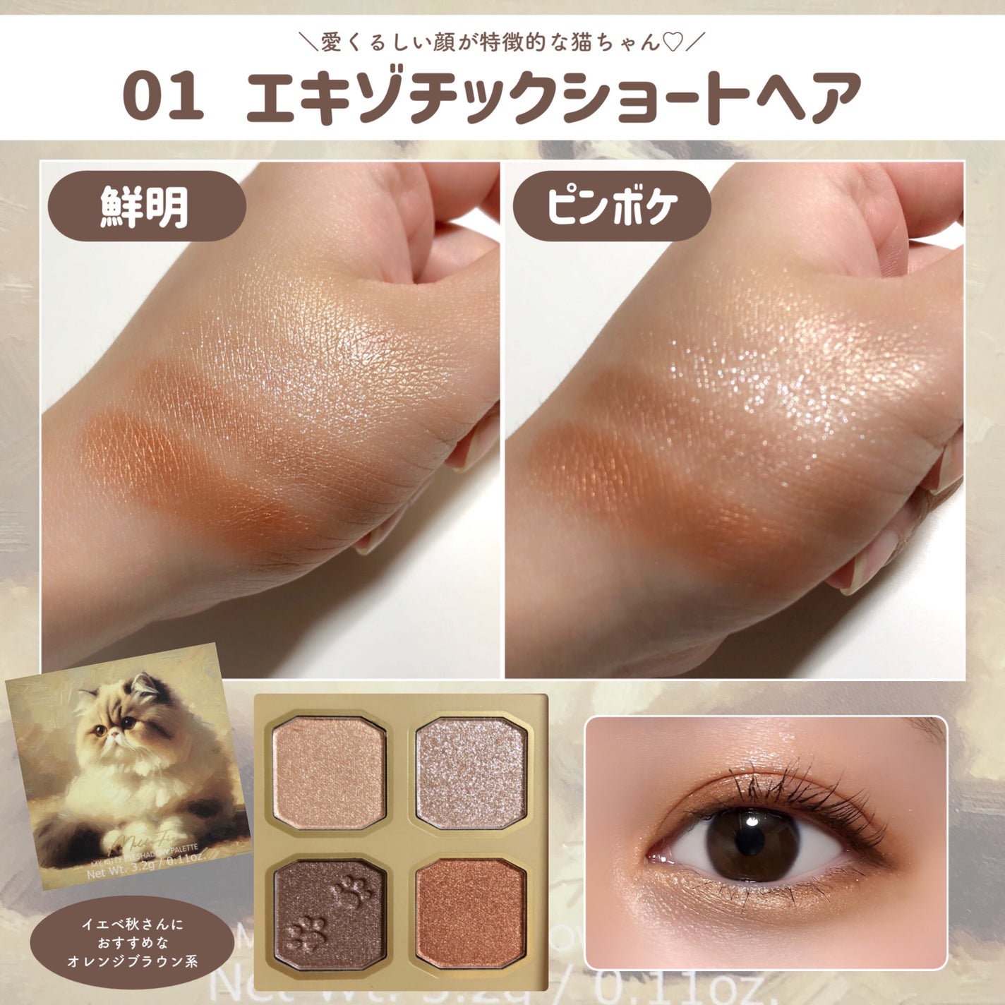 マイキティアイパレット/MilleFée/アイシャドウパレットを使ったクチコミ(3枚目)