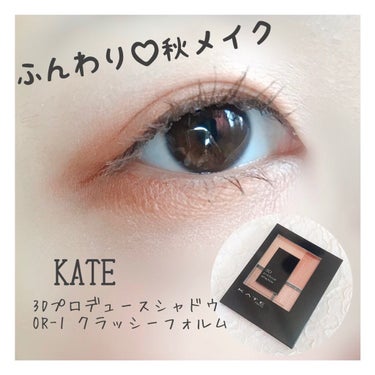 3Dプロデュースシャドウ/KATE/アイシャドウパレットを使ったクチコミ（1枚目）