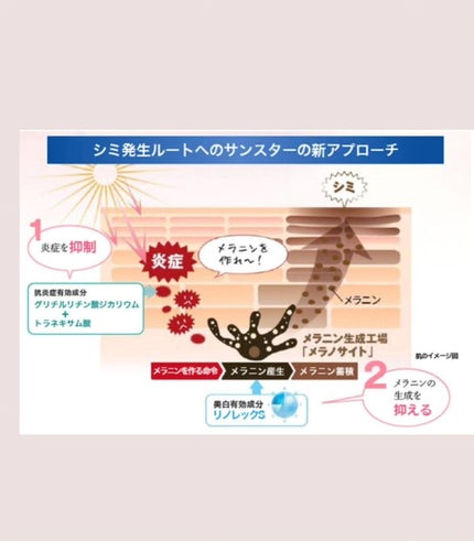 ホワイトエッセンスT/エクイタンス/美容液を使ったクチコミ(3枚目)